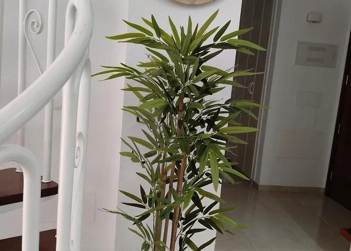 Home2book Sea Front Duplex Terrace Pool דירה *